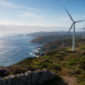 ¿Puede la naturaleza esperar a la política?