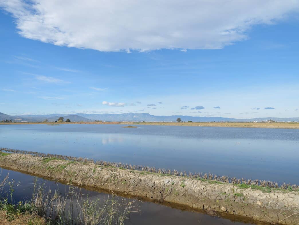Gobernar la transición ecológica exige construir instituciones capaces de actuar más allá del horizonte inmediato. | Rosa Mª Mateu